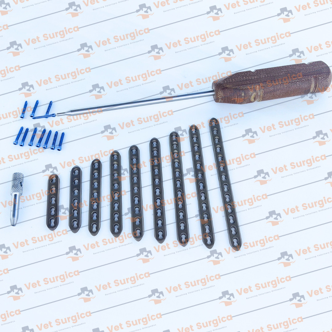 2.4mm Safety Locking Small Straight Plates 5H to 13 Holes & Screws 71 Pcs Set Ti