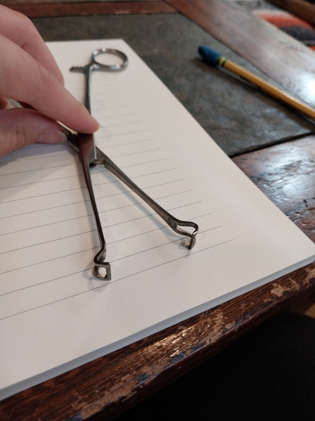 Crown Babcock Intestinal Forceps