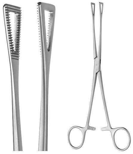 3 Pennington Tissue Forceps, 6.0″, Triangular Jaws, 1/2″ Wide