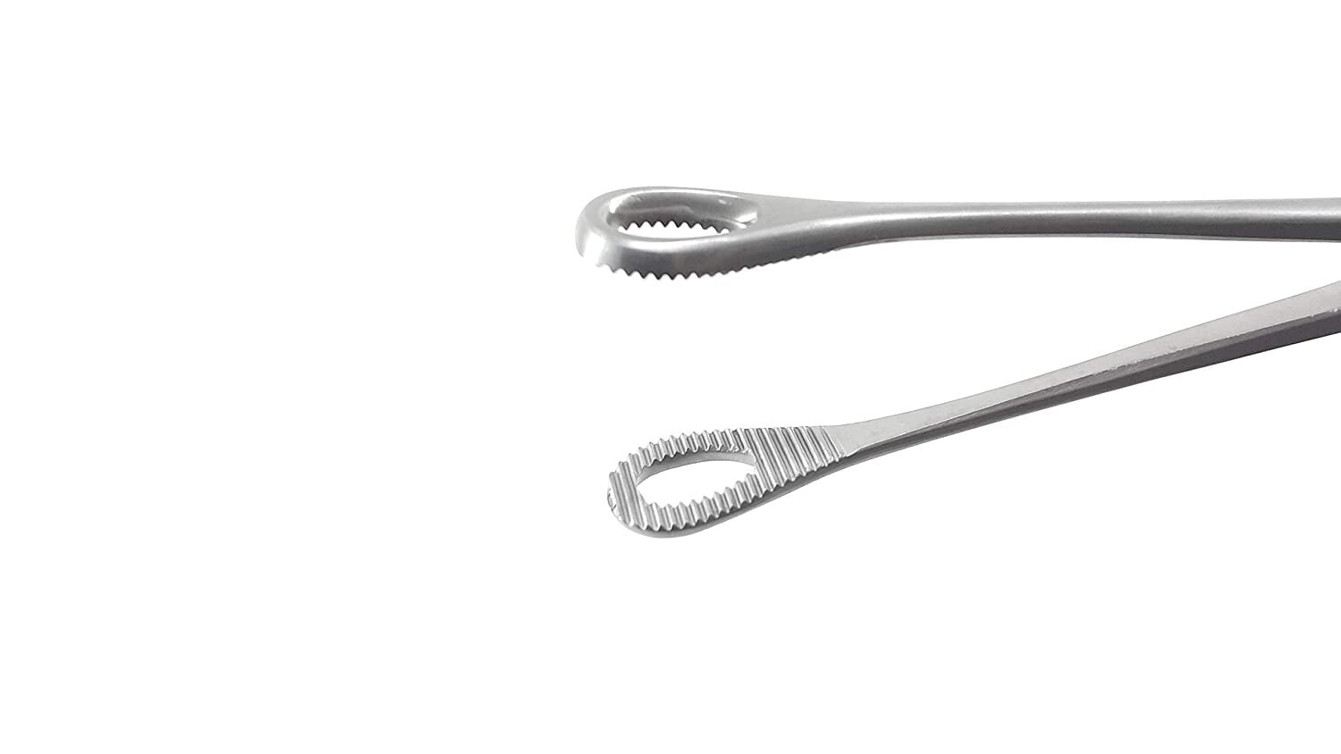 Premium Quality Sponge Holder 8 Inch (Pack of 1) Surgical Instrument