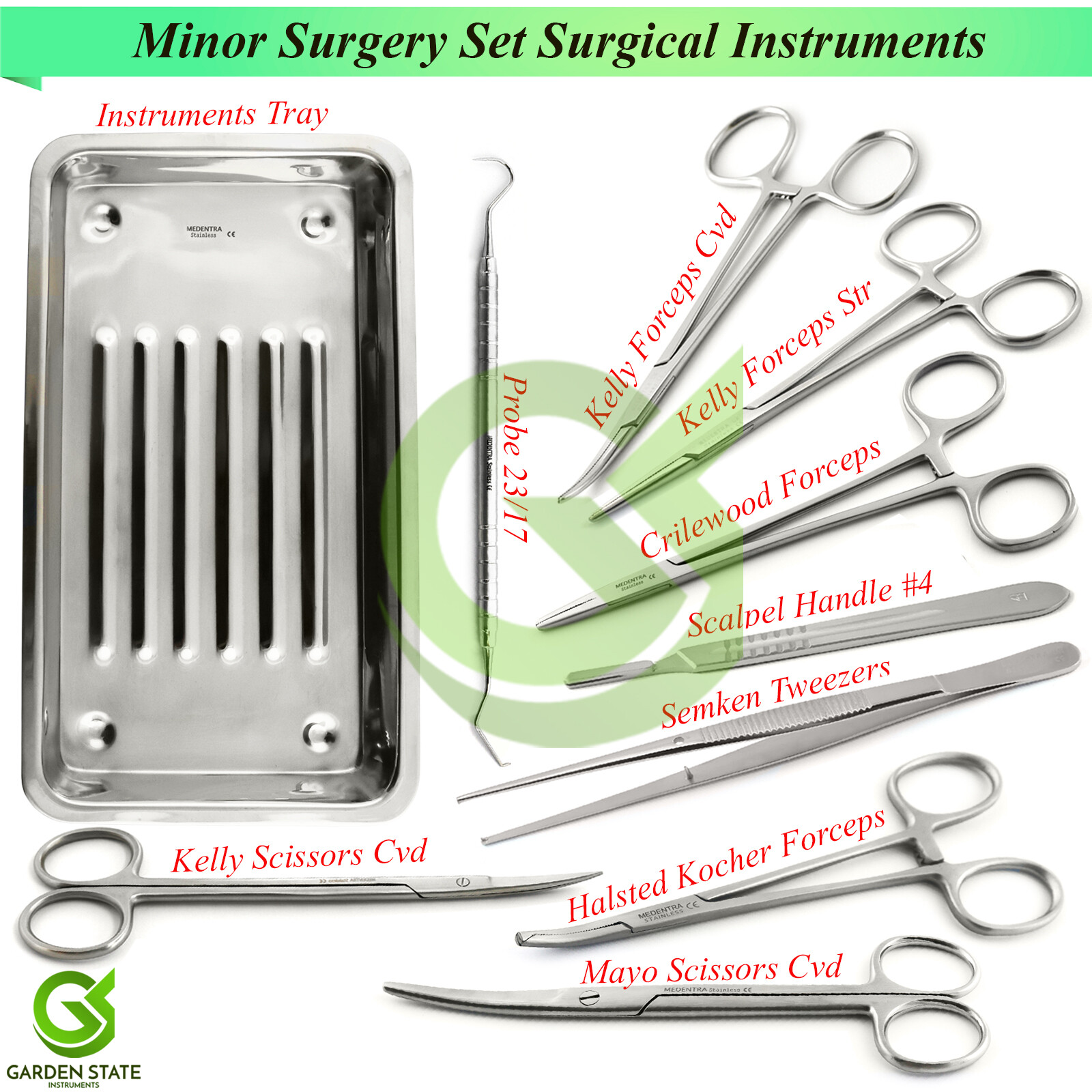 10 PIECES MINOR SURGERY SET SURGICAL INSTRUMENTS DISSECTION SCISSORS FORCEPS KIT