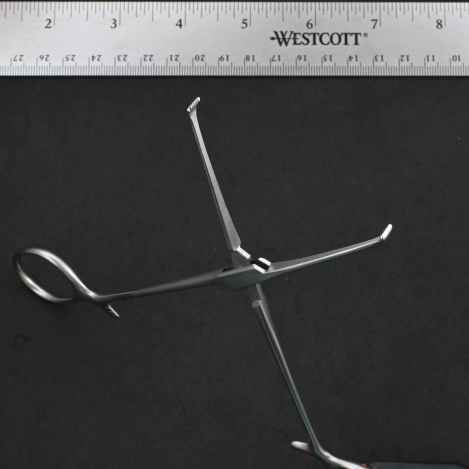 Aesculap EA017R Allis Forceps 5×6 Teeth 7 1/2 in Surgical Tissue Forceps
