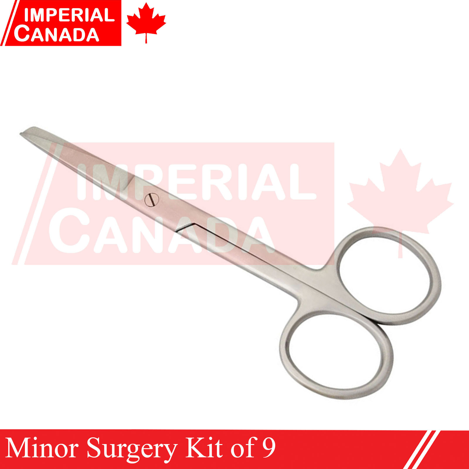Minor Surgery Kit of 9 Surgical Instruments New Medical Instruments DS-2041