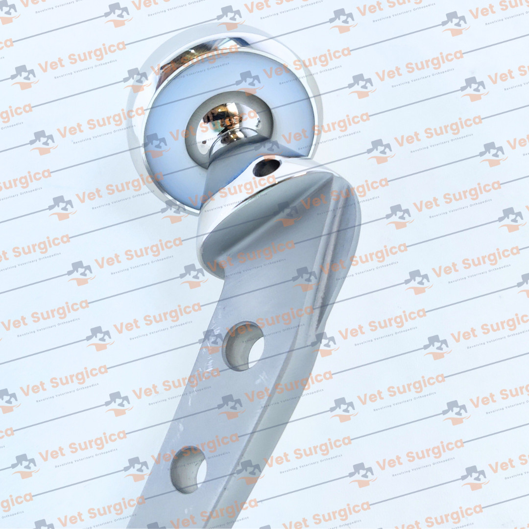 Bipolar Hip Prosthesis Orthopedic Instrument – Sizes 40mm & 41mm 2 Pcs Set