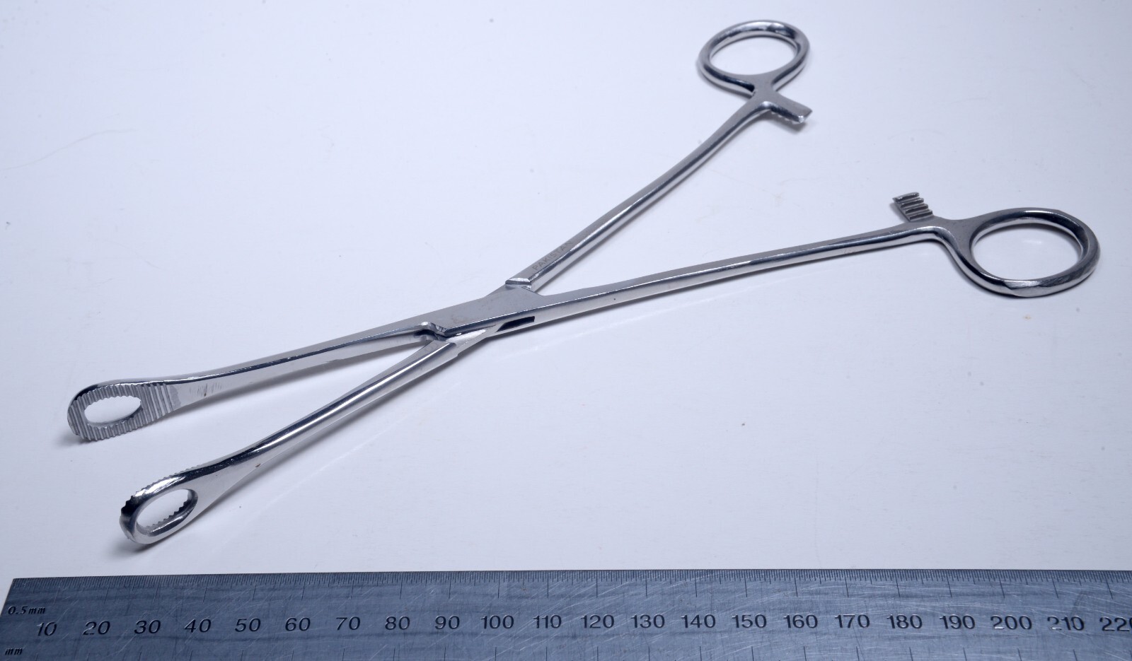 8x Foerster Sponge Holding Forceps 9¾” Straight Serrated Stainless Surgical
