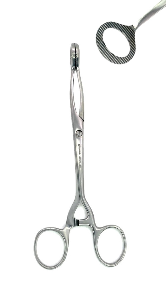 Lawton 16-0300 Collin Tongue Holding Forceps