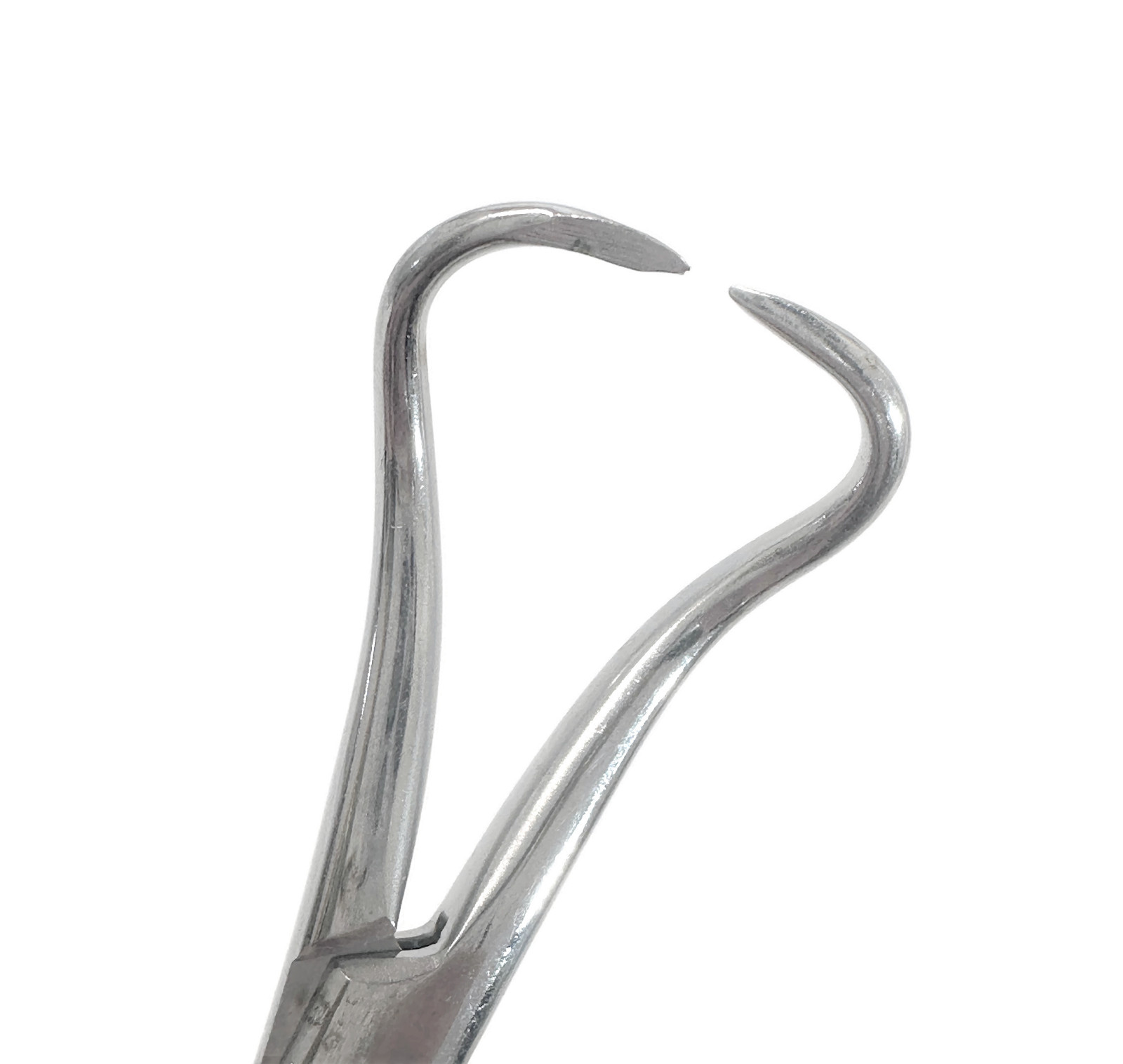 Jarit 110-100 Backhaus Towel Forceps, Mirror-Finish, 3-1/2in A.