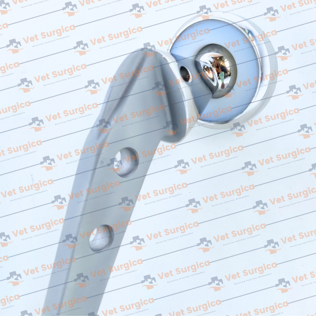 AMP Hip Prosthesis Orthopedic Instruments 41mm, 42mm, 43mm 3 Pcs Set