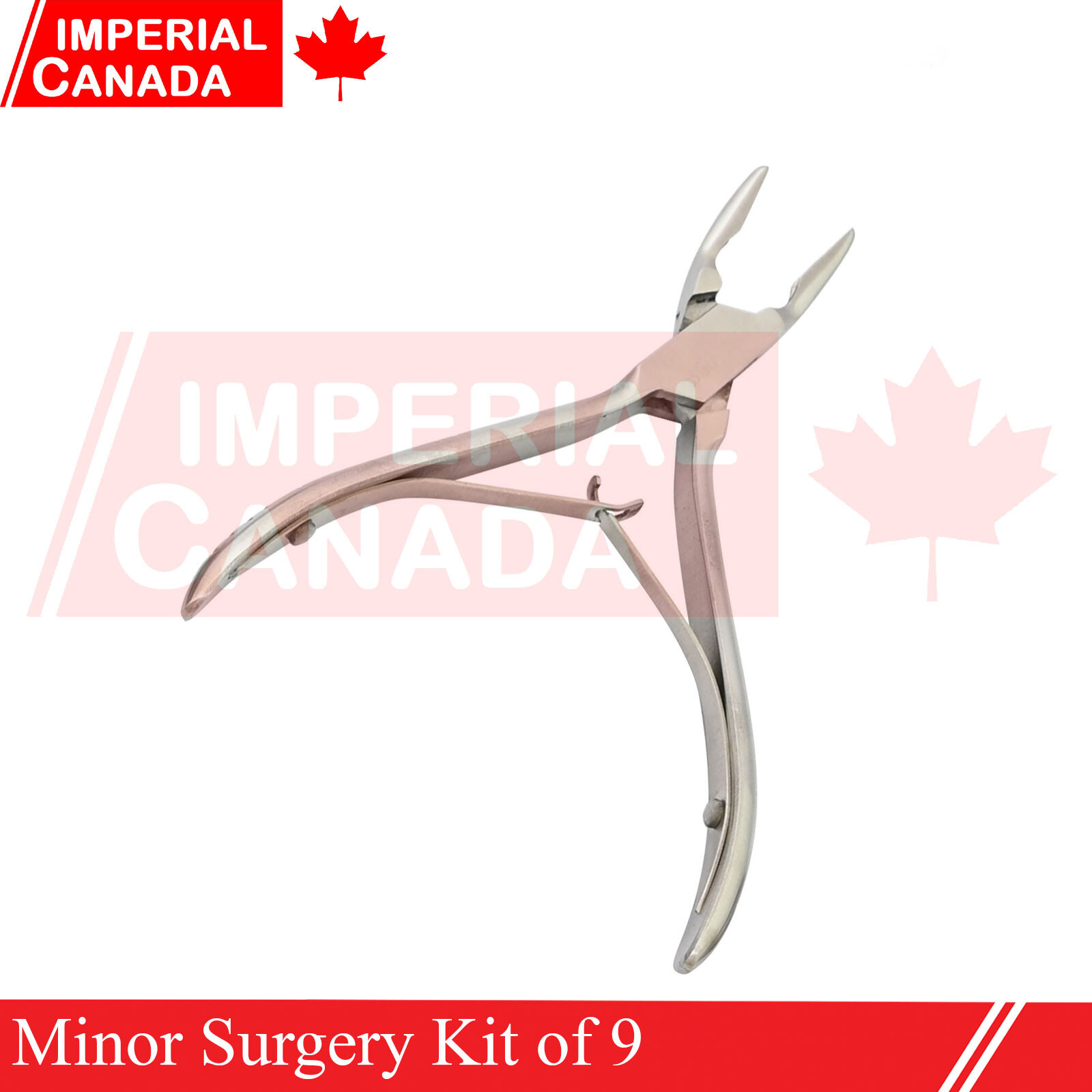 Minor Surgery Kit of 9 Surgical Instruments New Medical Instruments DS-2041
