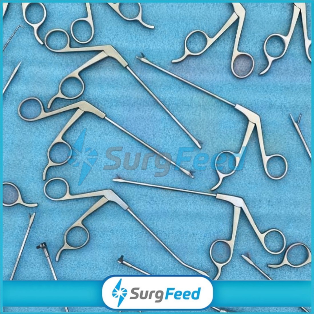 Arthroscopy Instrument Forceps Punches Set of 15 PCs Sterilization Box