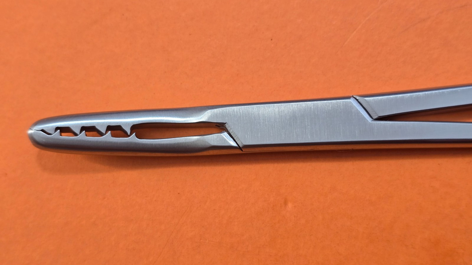 Turtle Surgical Martin Cartilage Holding Forceps 8″ Curved Jaw w- Ratchet