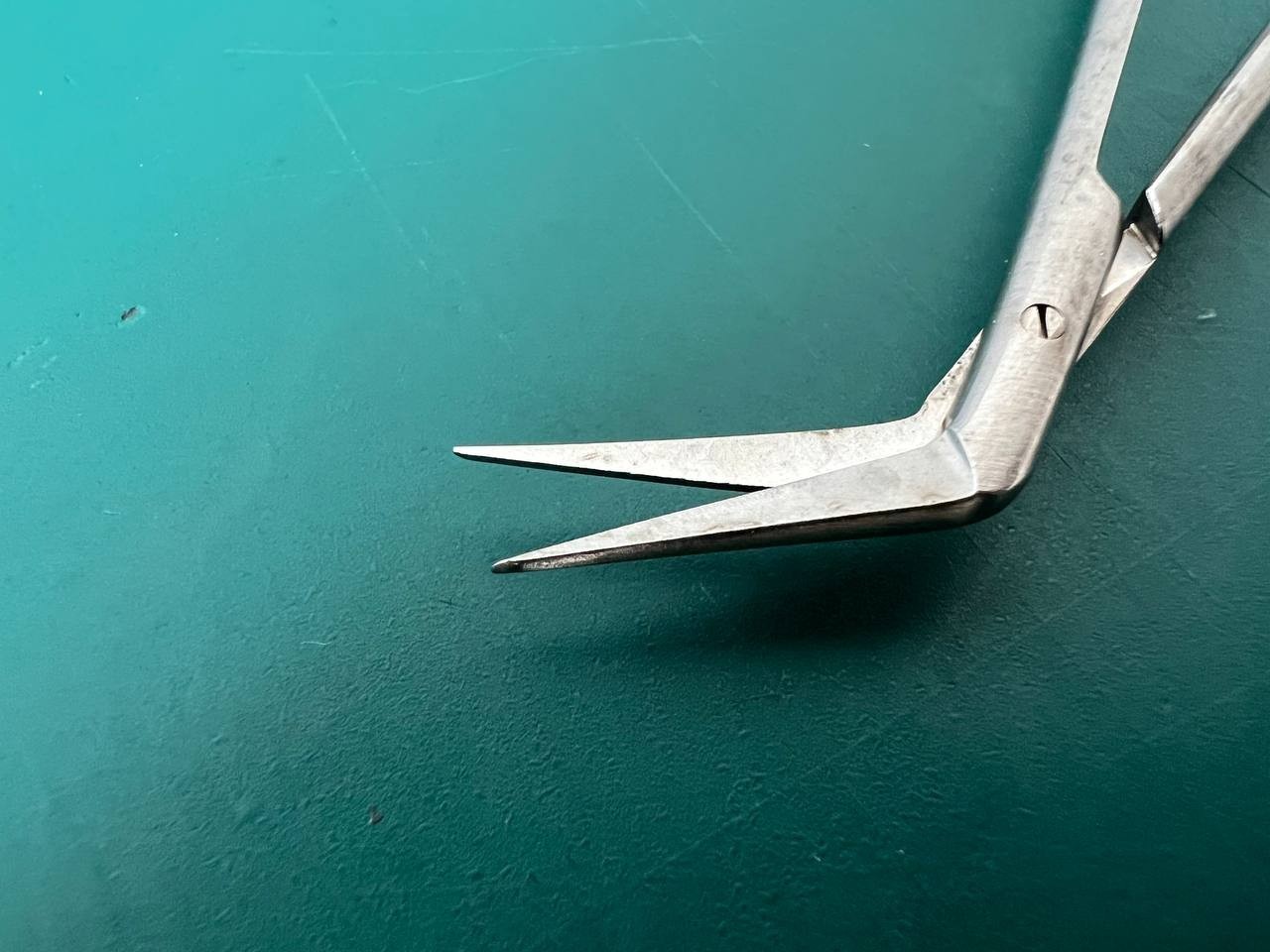 Wexler SL0711.1 Potts-Scissors – 45° Angled Sharp/Fine Blades 7” (18cm)