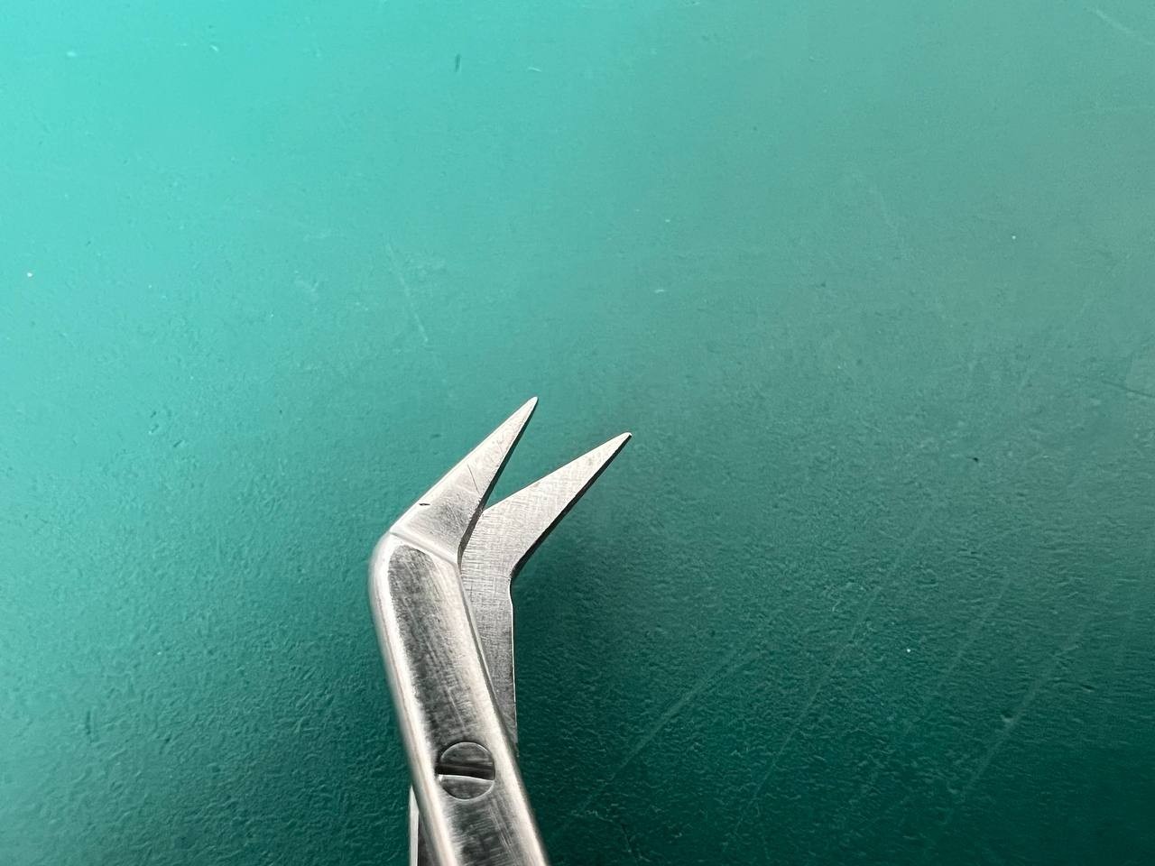 Wexler SL0716.1F Potts-Scissors – 45° Angled Micro Fine Blades 6.75” (17cm)