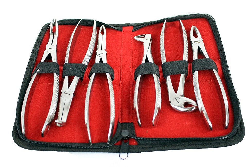 Bdeals 6PC English Pattern Dental Extracting Forceps Stainless Steel Set