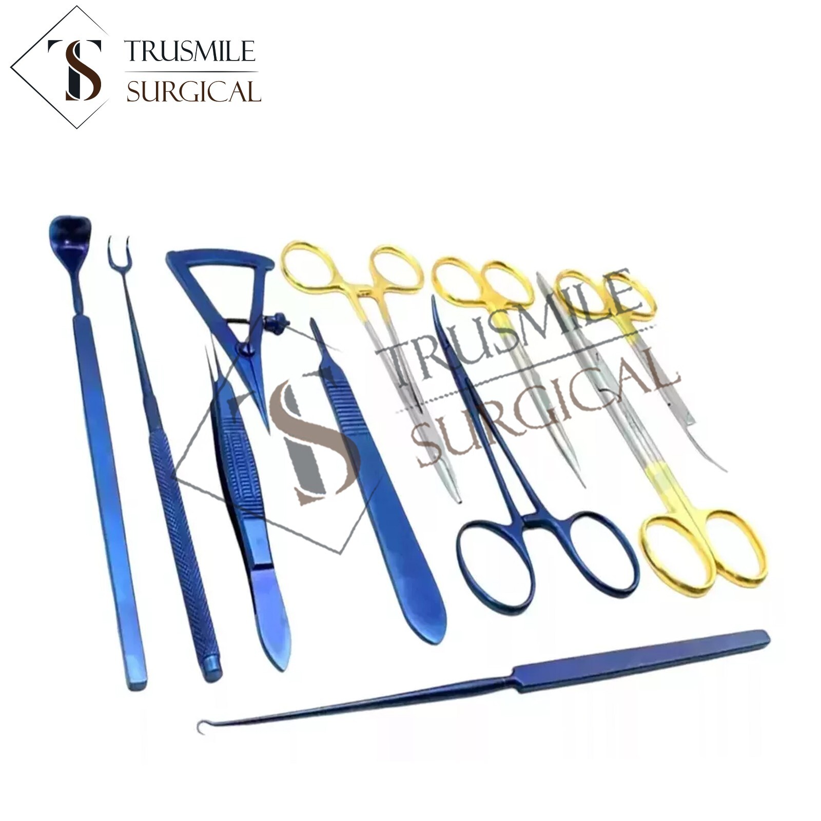 Set of 11 PCS Blepharoplasty Kit Plastic Surgery High Quality Instruments Kit