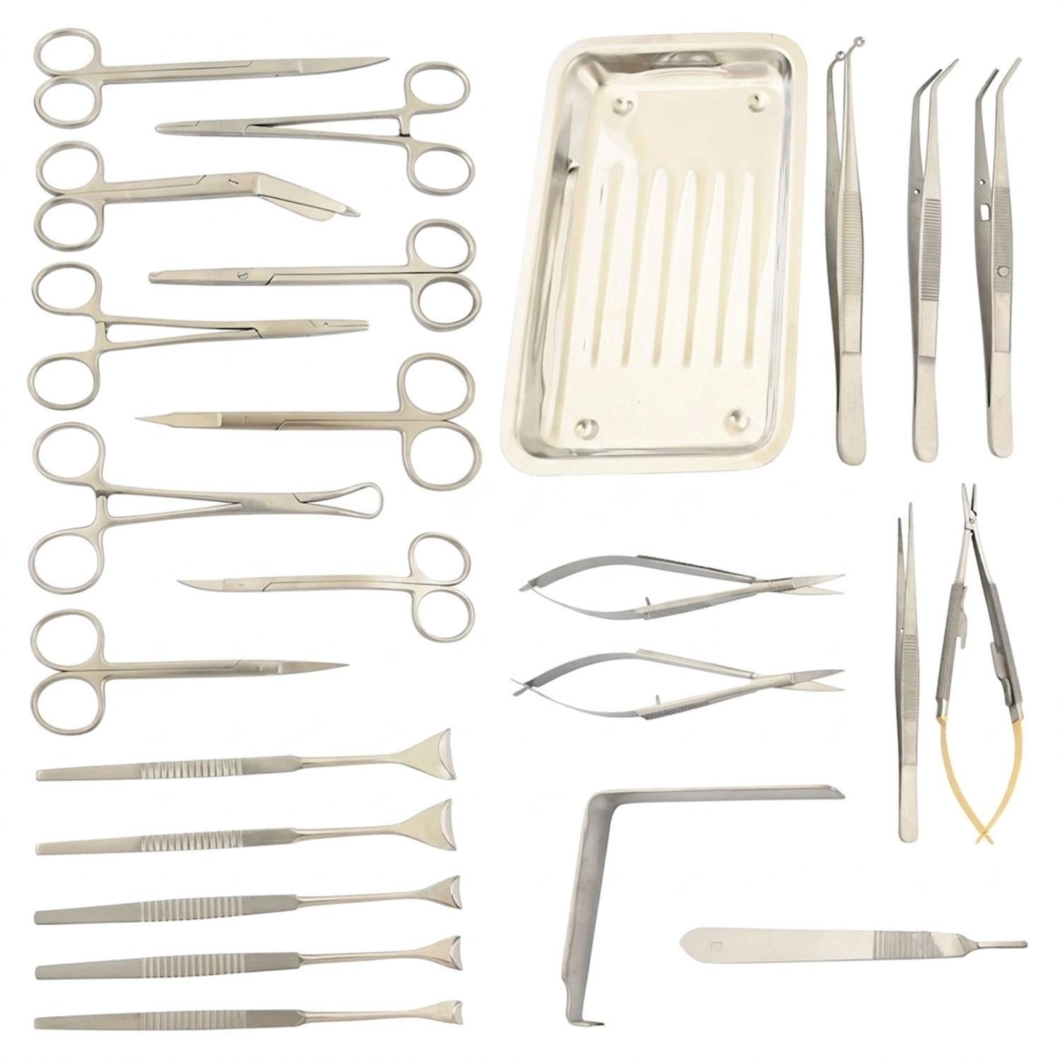 25 Pcs Minor General & Plastic Surgery Instruments Set Veterinary Kit DS-2376