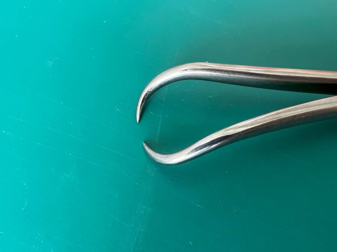 Aesculap FO118 Reposition Forceps, curved, 200 mm (7 7/8″), jaw: 1 x 1 teeth