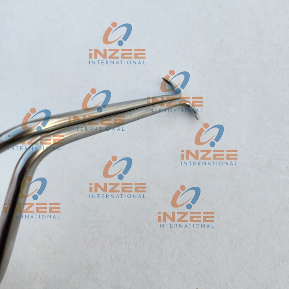 Gelpi Self Retaining Retractor W/ Long Prongs (70mm) x 19 cm By Inzee Instrument
