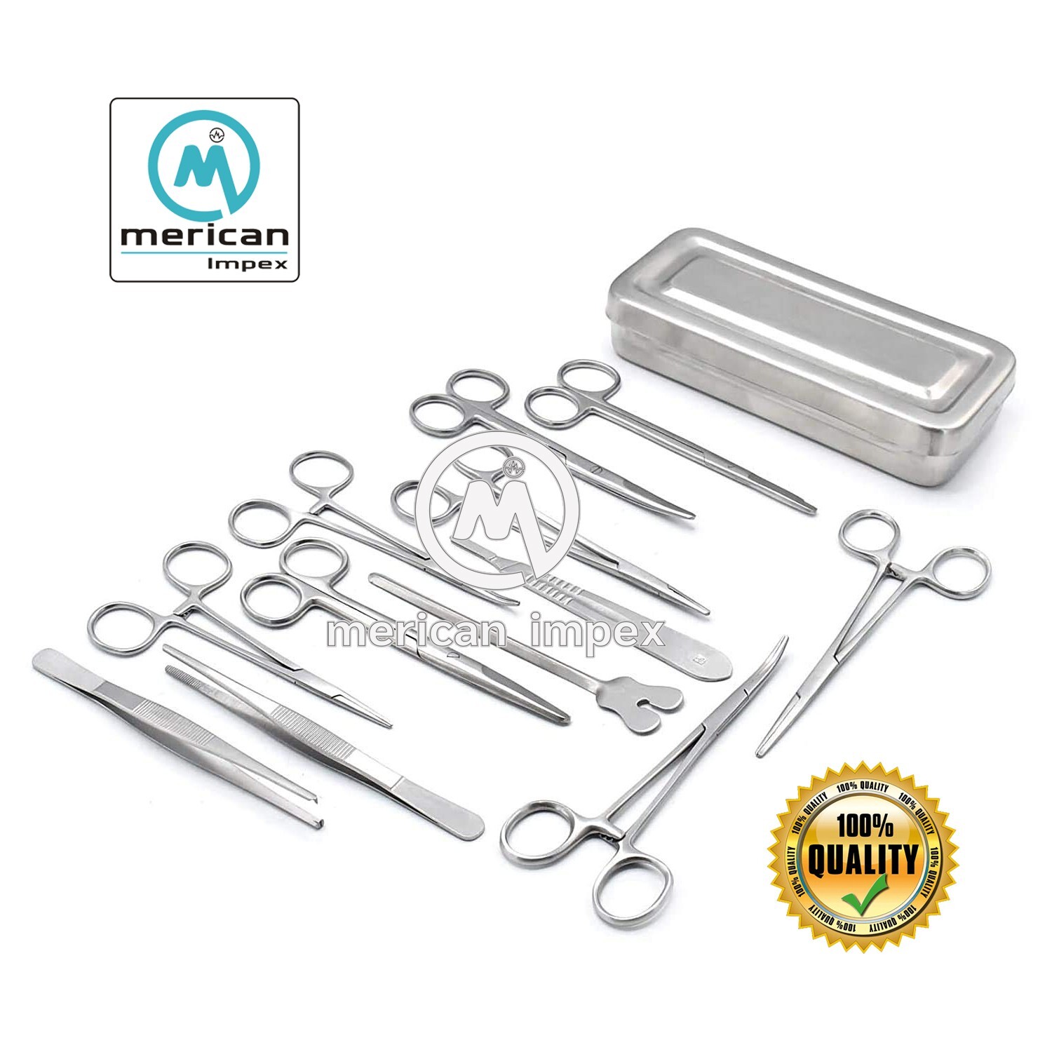 Basic Minor Surgery Kit Set of 13Pcs Steel Box Dissecting Surgical Instruments