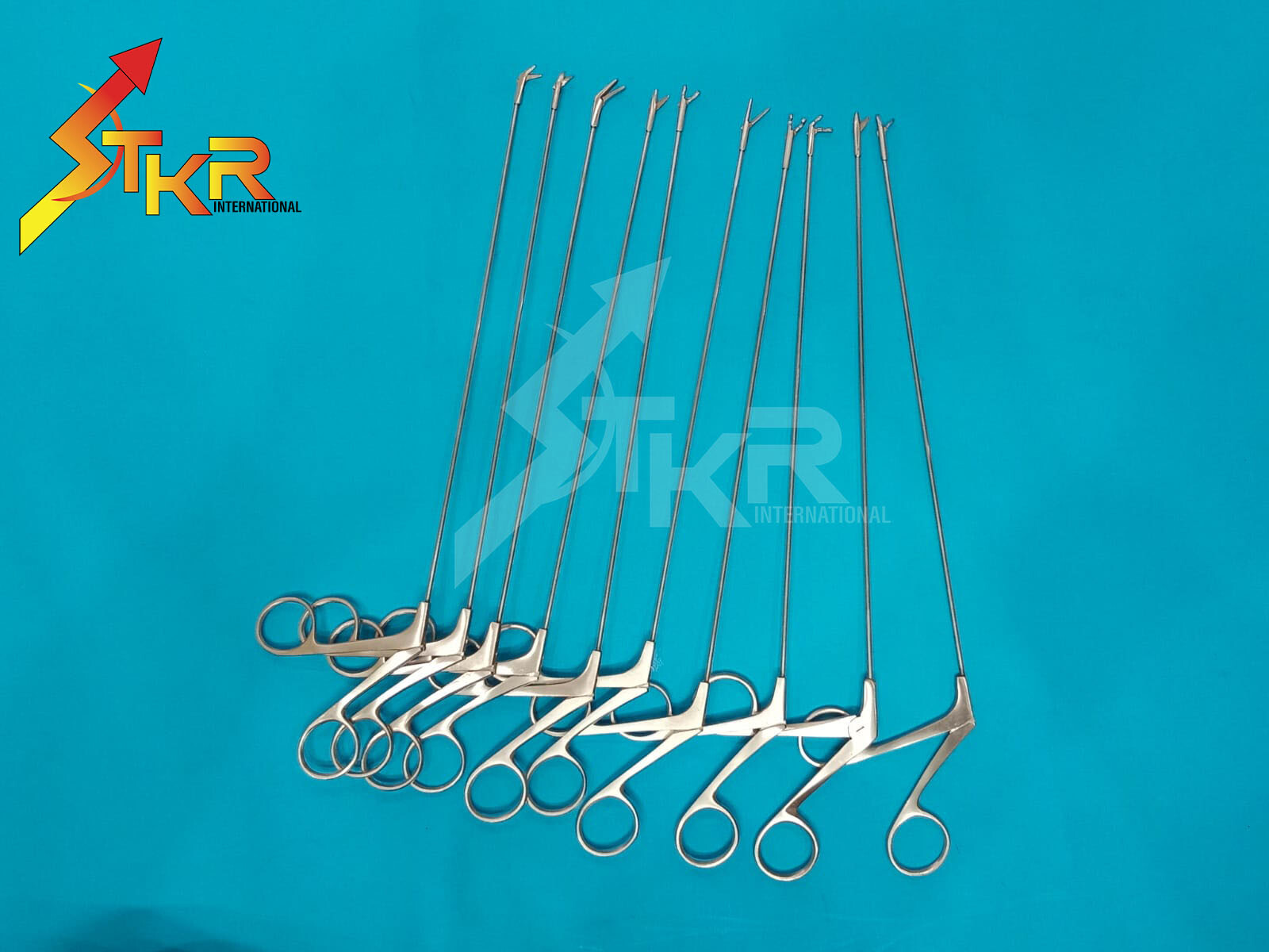 Micro Laryngeal Forceps Different Tapes of Length 10 PCS Forceps 25cm
