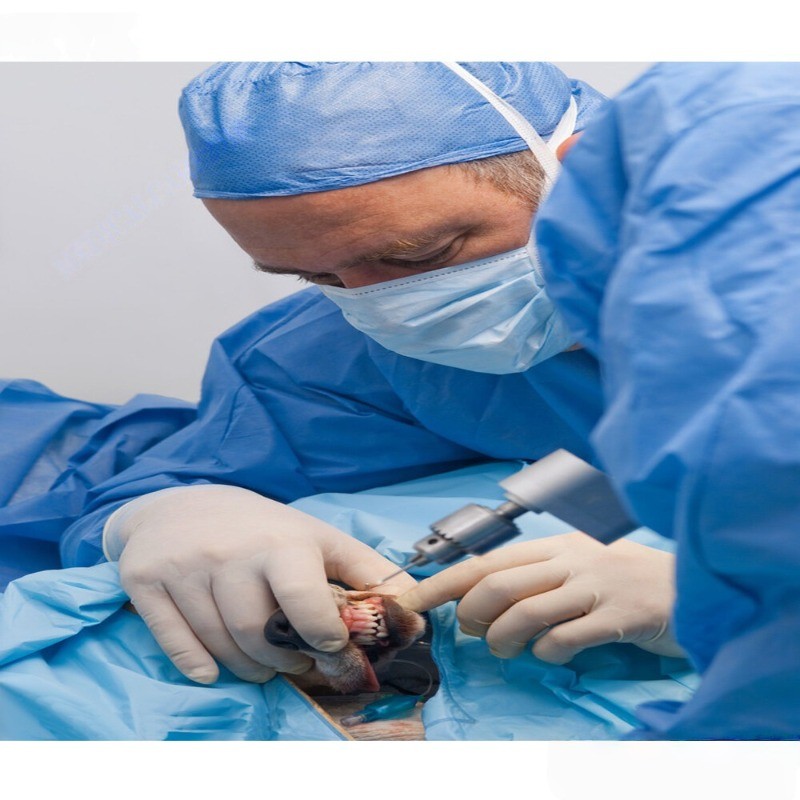 Portable Surgical Veterinary Sternum Saw System-Orthopedic