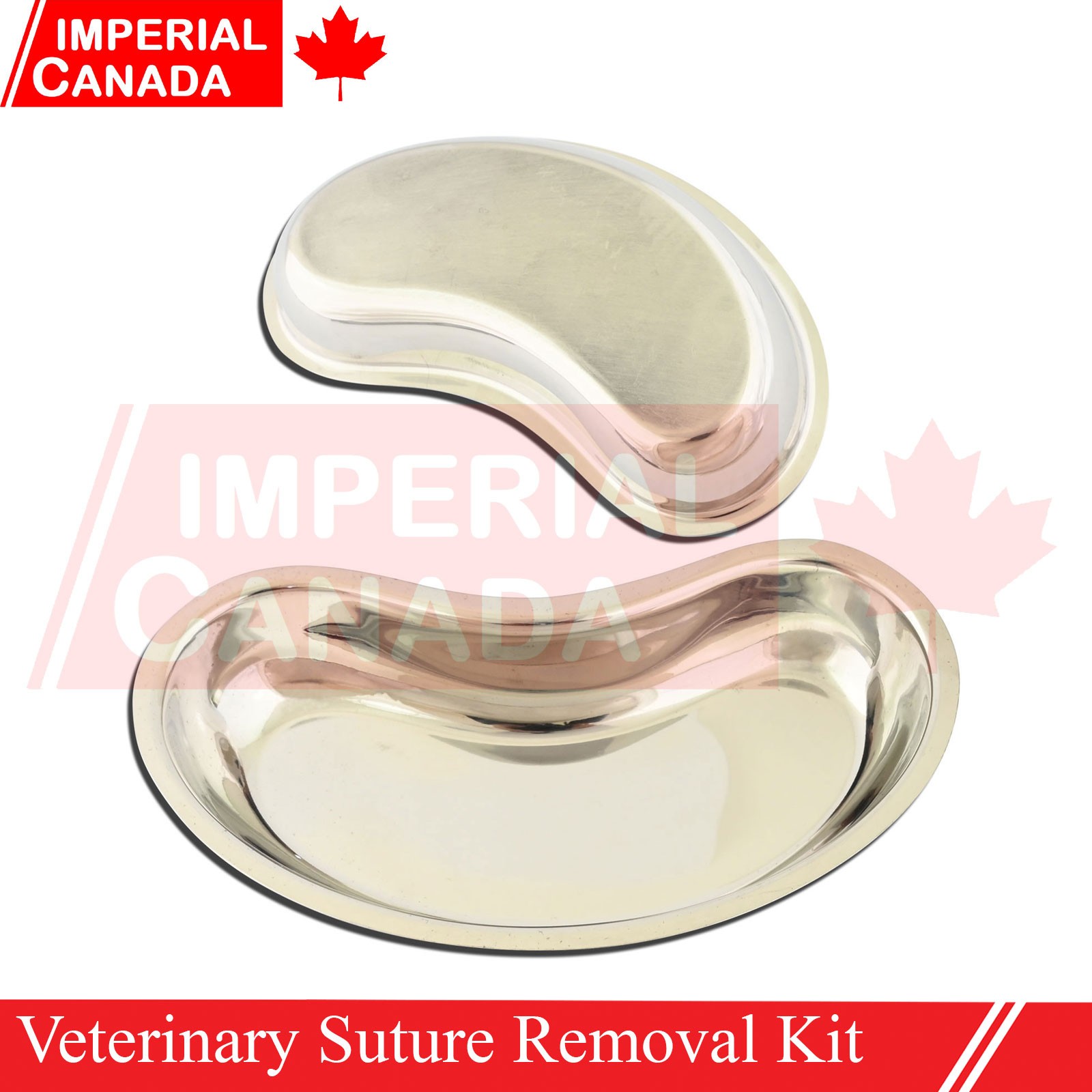 Veterinary Suture Removal Special Tray Kit Stitch Scissors Dressing Forc DS-2229