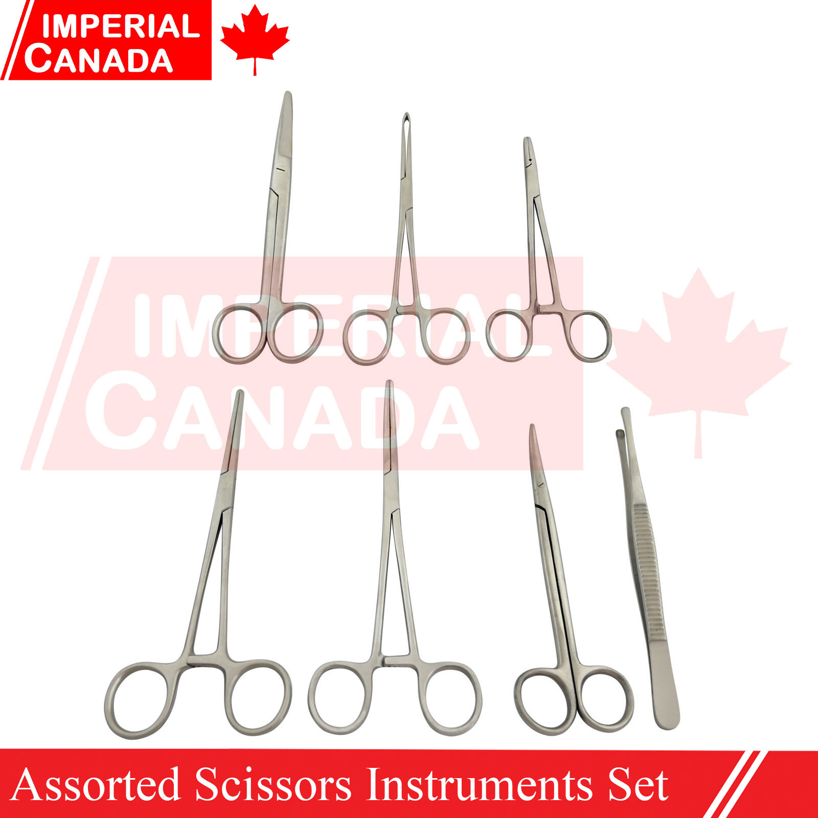 12 Pcs Instruments Set Assorted Scissors Hemostat Needle Holder Allis DS-1973