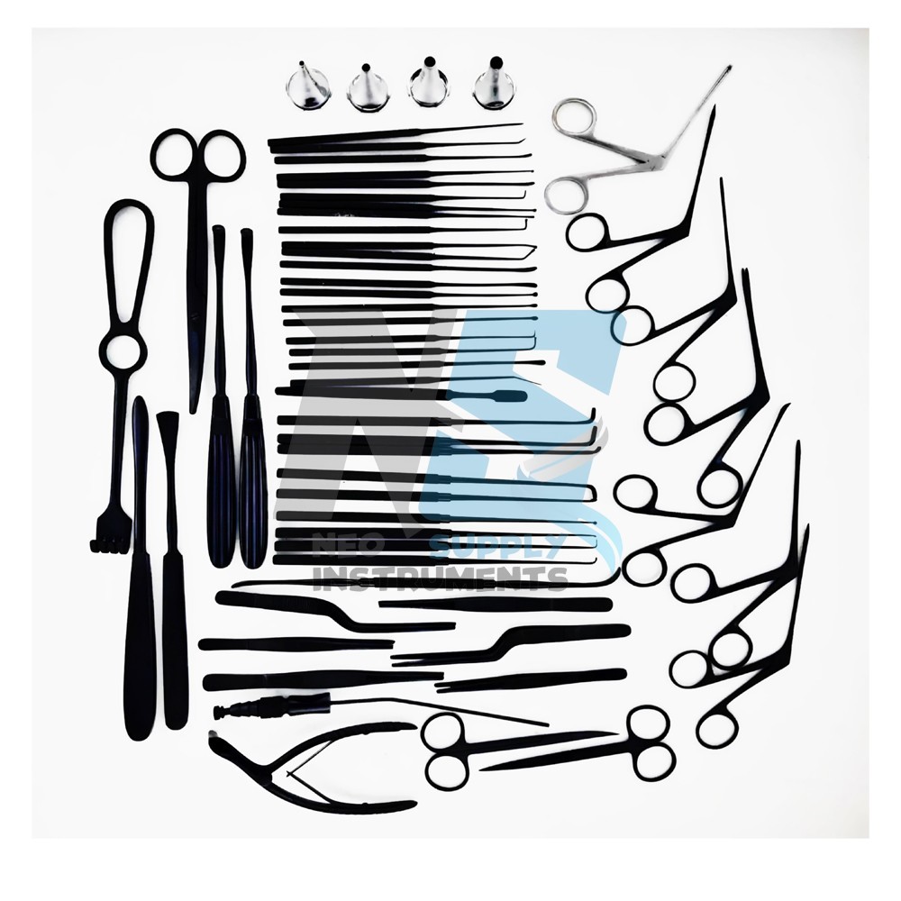 Tympanoplasty Instruments Black Color 29 Pcs Set Micro Ear Surgery ENT