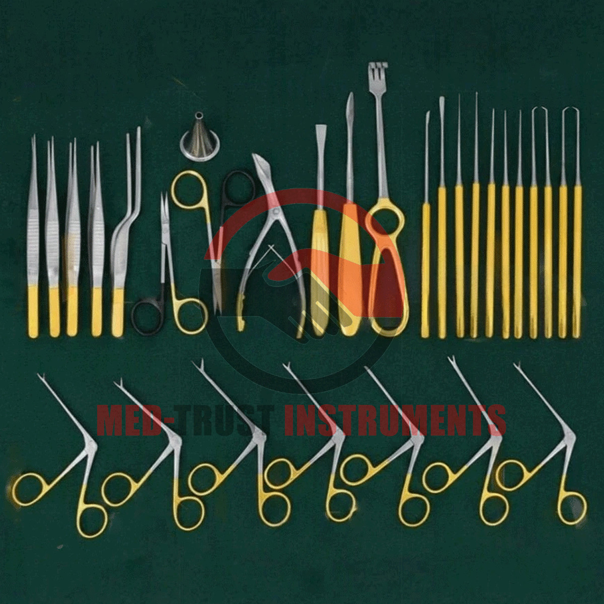 ENT Tympanoplasty Instrument Set 30 Pcs Micro Ear Surgery Set
