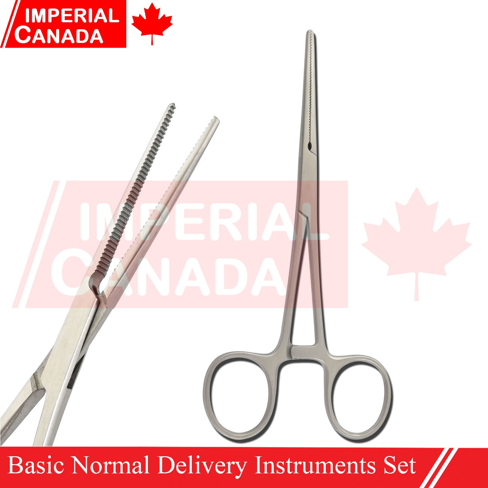 Basic Delivery Tray Set Obstetrical Forceps Scissors Gynae Surgical Inst DS-2368