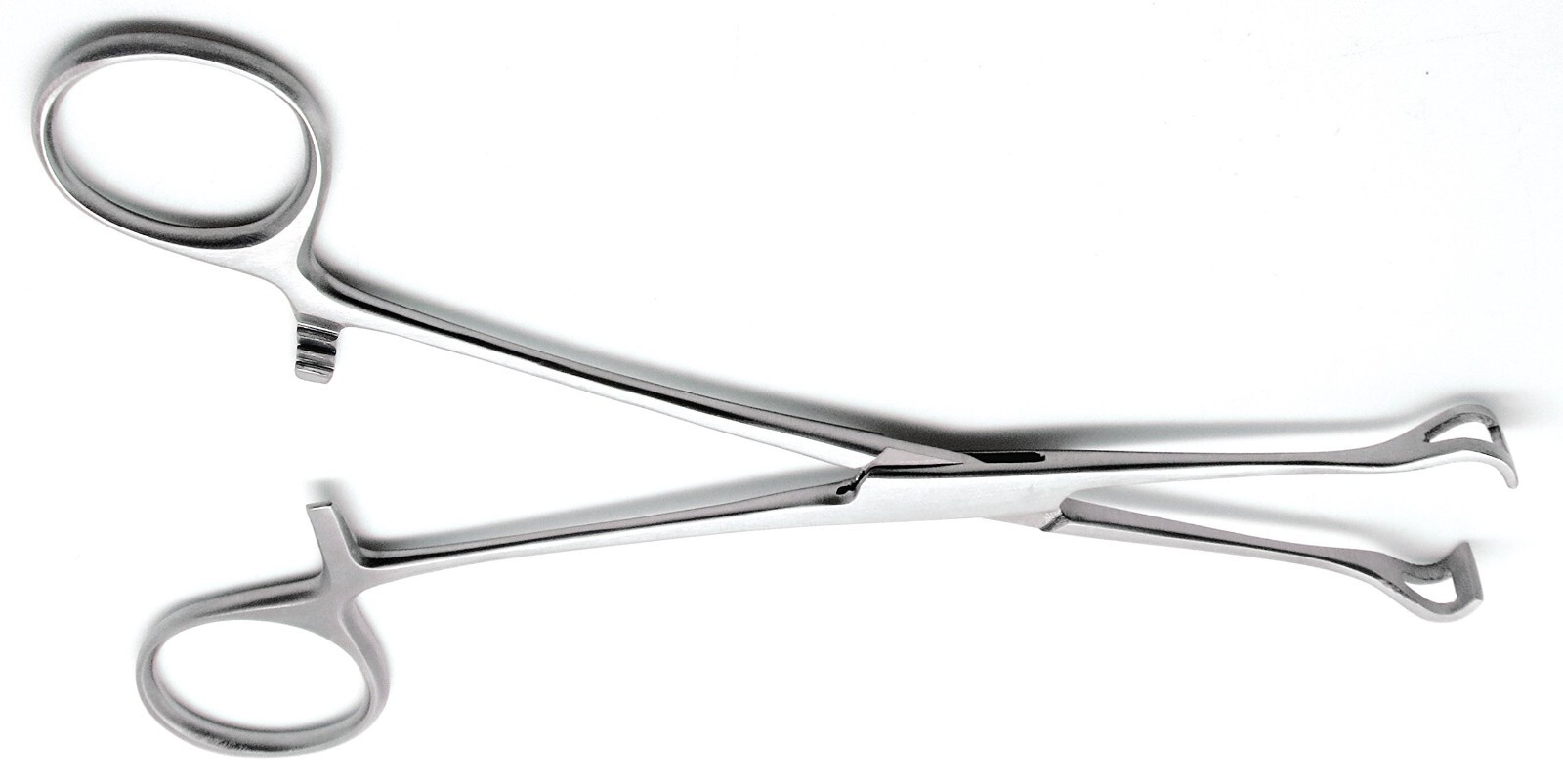 Babcock Organ Grasping Manipulation Forceps 14″ Stainless Steel