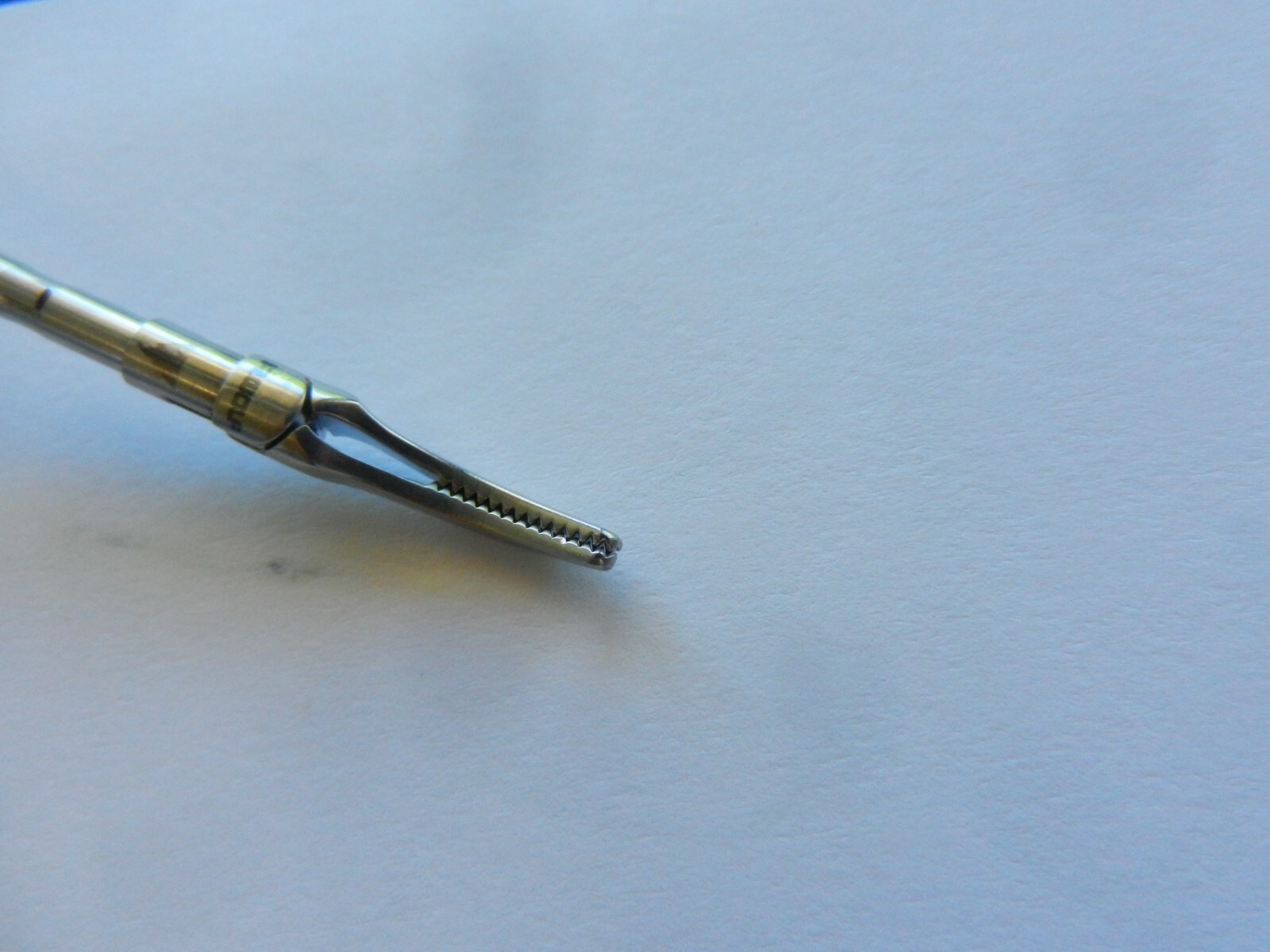 E1480 R. Wolf 5.0mm Maryland Grasping Forceps 33cm Overall Length 8393.281