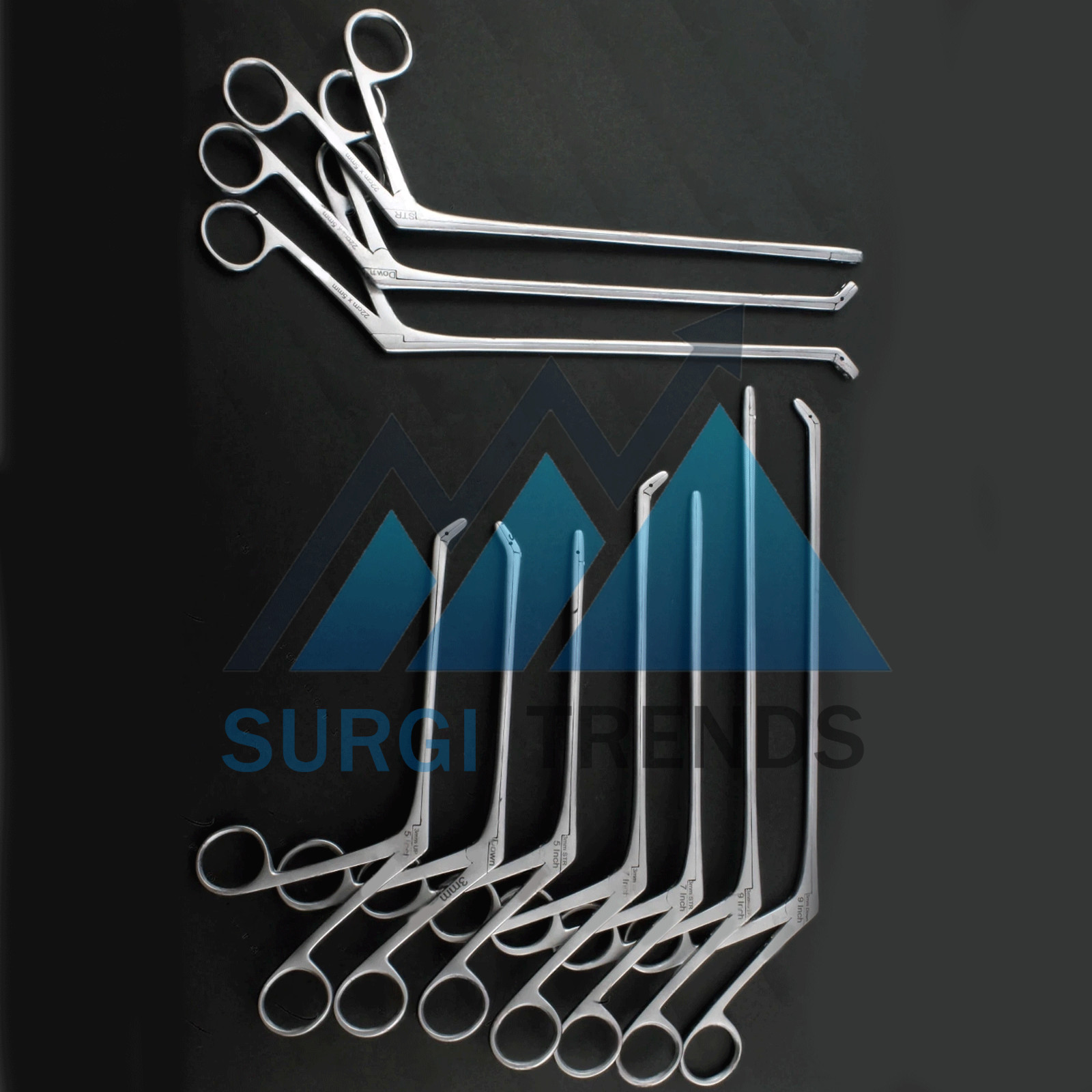 10 pcs Laminectomy Intervertebral Disc Rongeur Set Down, Straight, Up 3 & 5 mm