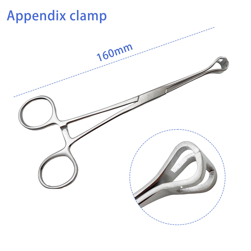 Appendix forceps Medical Small intestinal tissue forceps Appendix forceps