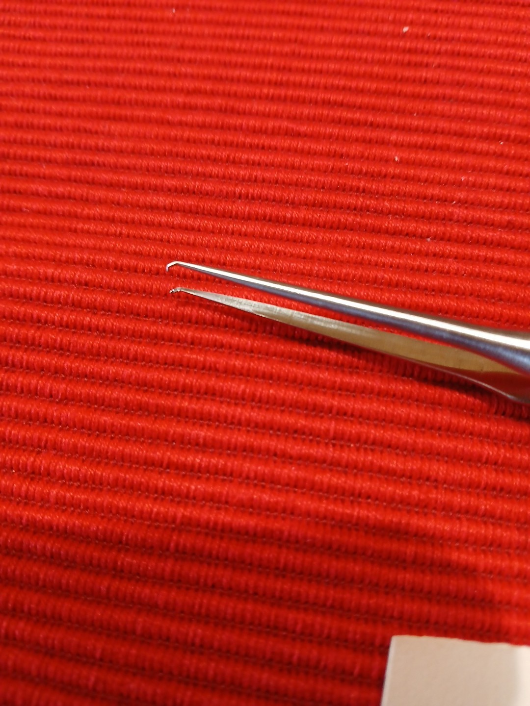 GEM Surgical 7in Forceps 4183C