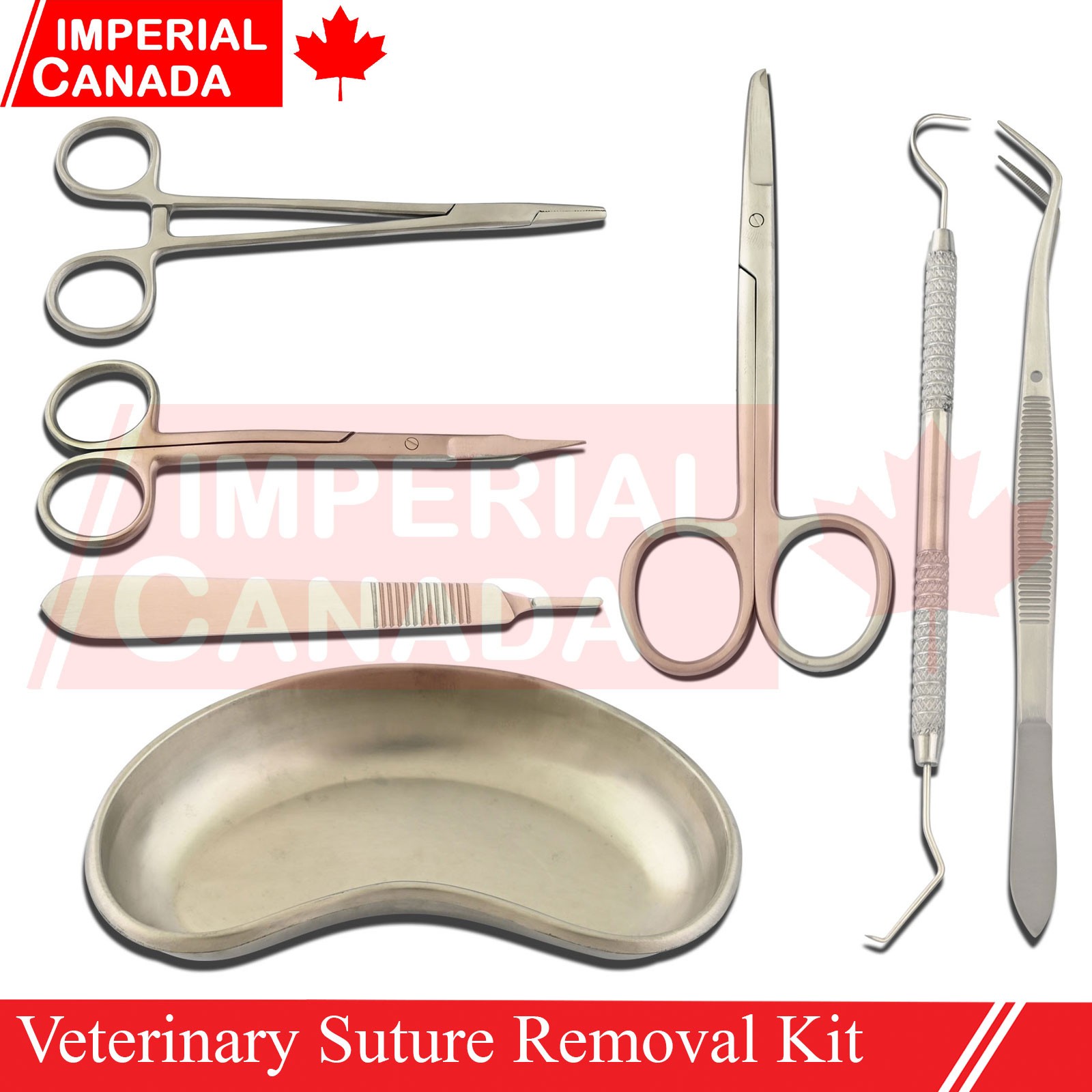Veterinary Suture Removal Special Tray Kit Stitch Scissors Dressing Forc DS-2229