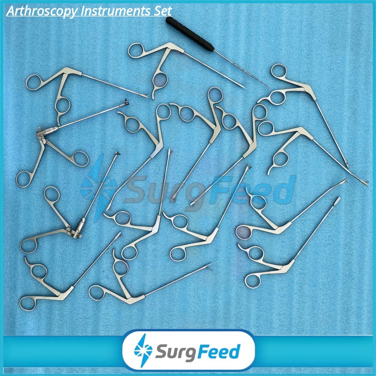 Arthroscopy Instrument Forceps Punches Set of 15 PCs Sterilization Box