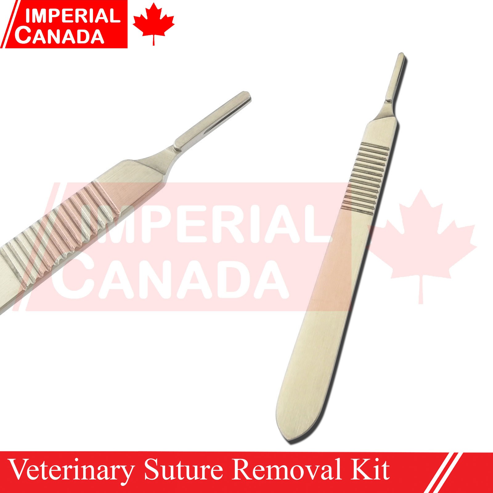 Veterinary Suture Removal Special Tray Kit Stitch Scissors Dressing Forc DS-2229