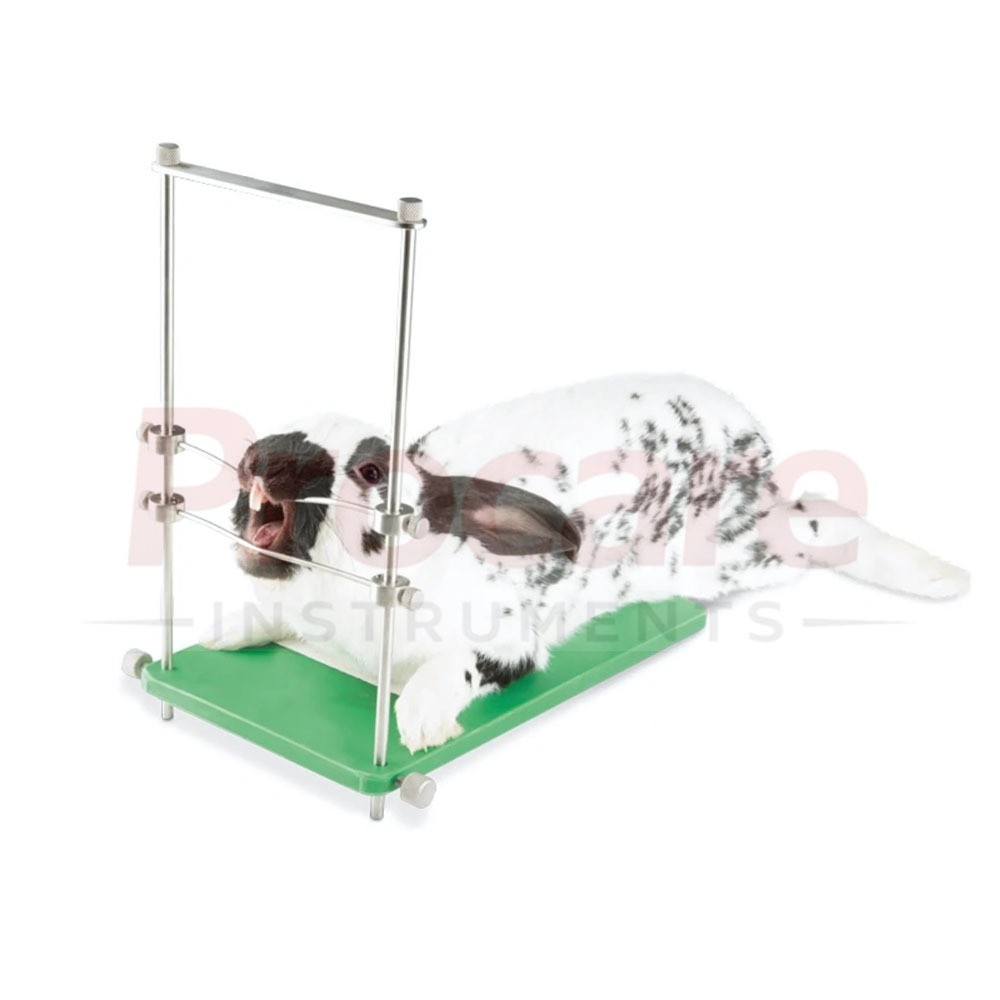 Mouth Gag Rodent Rabbit Table Top Veterinary Instruments FDA Premium Quality