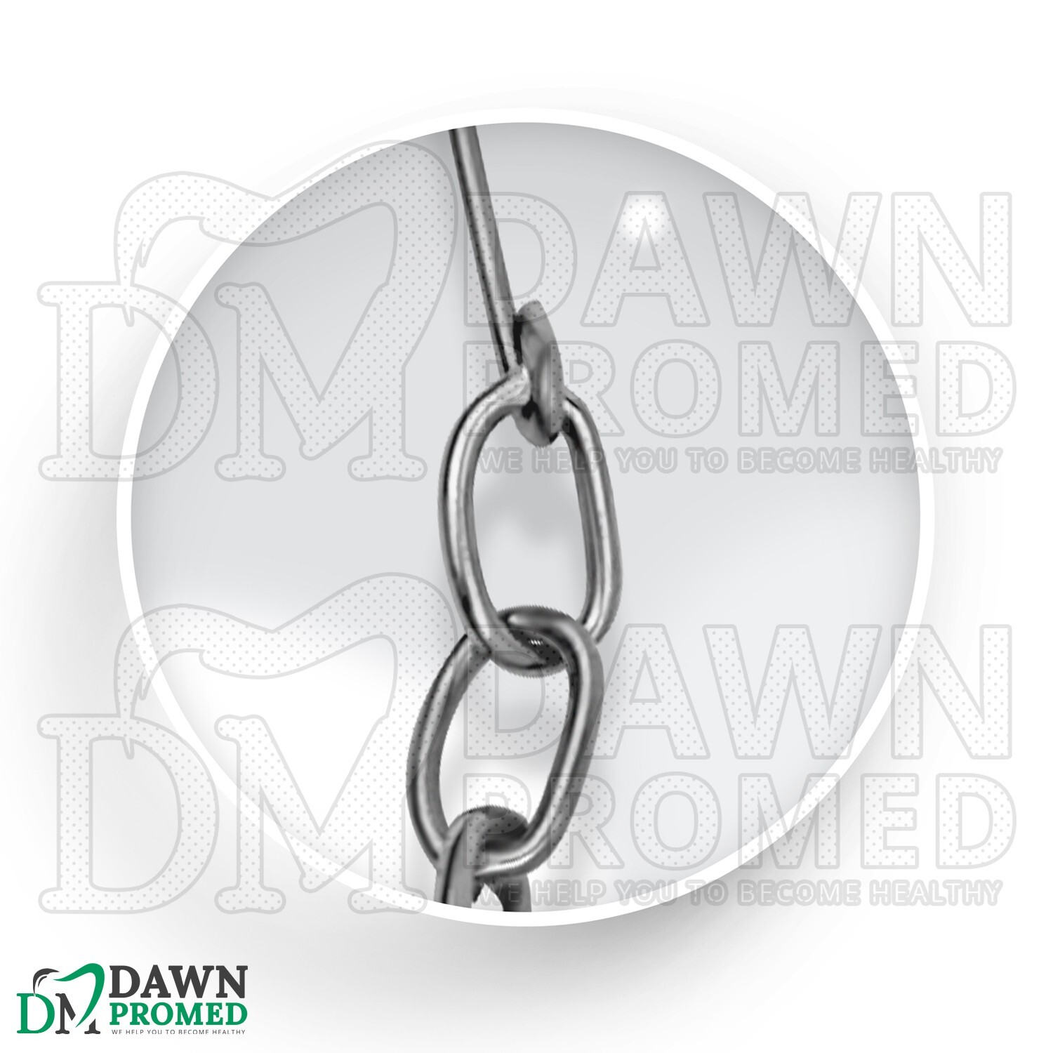 10 Pcs Triple Chain Hook 2″ Three Steel Hooks on Ring to Hold Tissue & Specimens