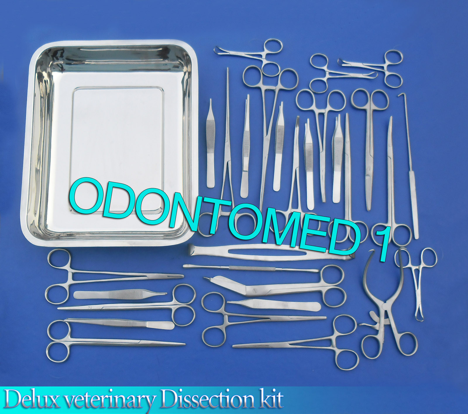 Delux veterinary Dissection kit Surgical Instruments High Grade,DS-1038