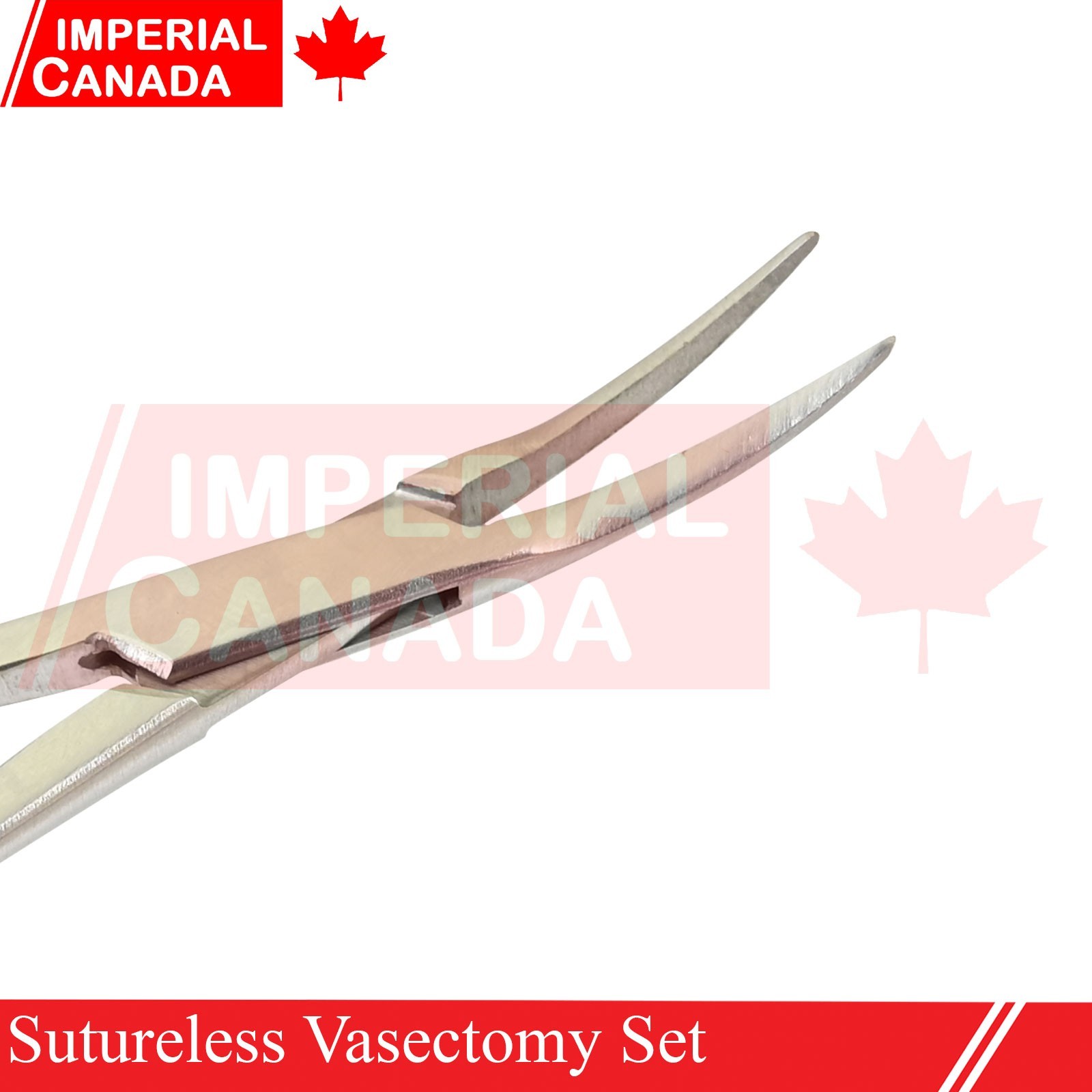 Sutureless Vasectomy Surgery Forceps Surgical Instruments Stainless Stee DS-2452