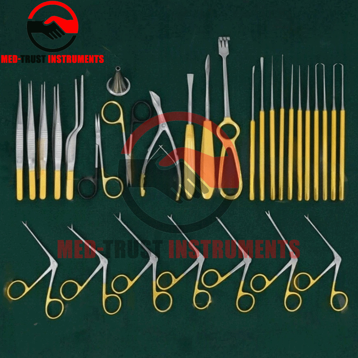ENT Tympanoplasty Instrument Set 30 Pcs Micro Ear Surgery Set