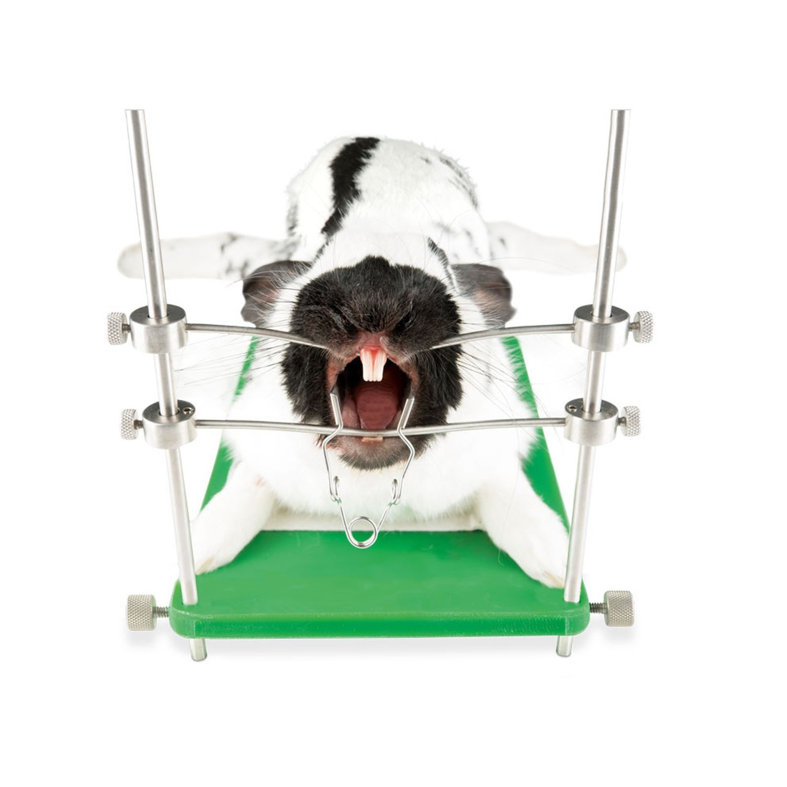 Rabbit Rodent Table Top Mouth Gag Speculum Animal Dental Veterinary Instrument
