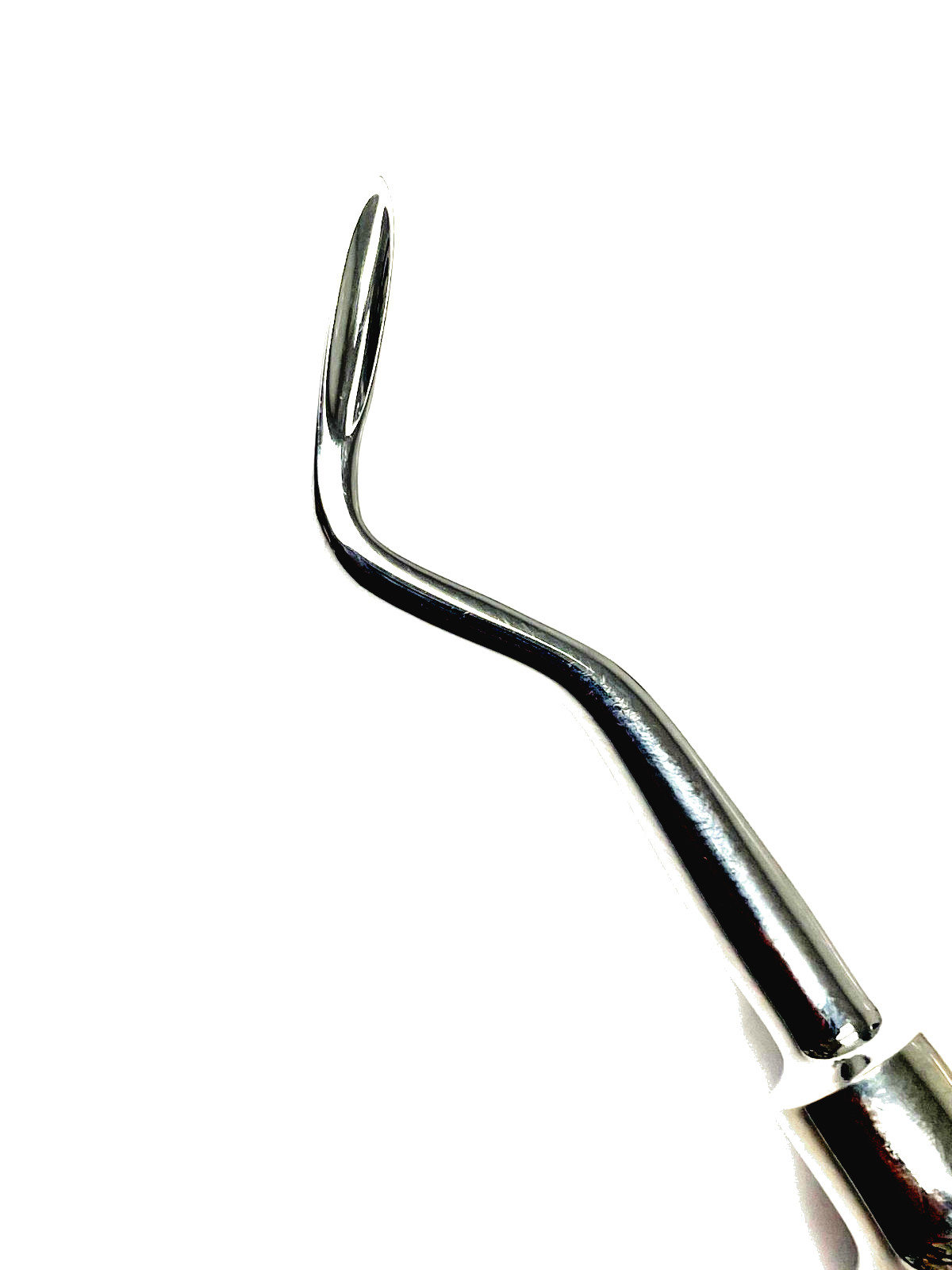 Dental Root Elevator FLHOR 4F