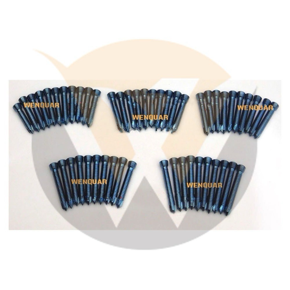 Locking (safety Lock) Titanium Blue 2.7mm Hex Screws Self Tapping 200 Pcs