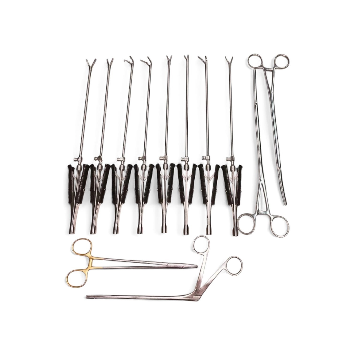 Valve Cardiac Surgery Instrument Set 12 Pcs Premium Surgical Kit