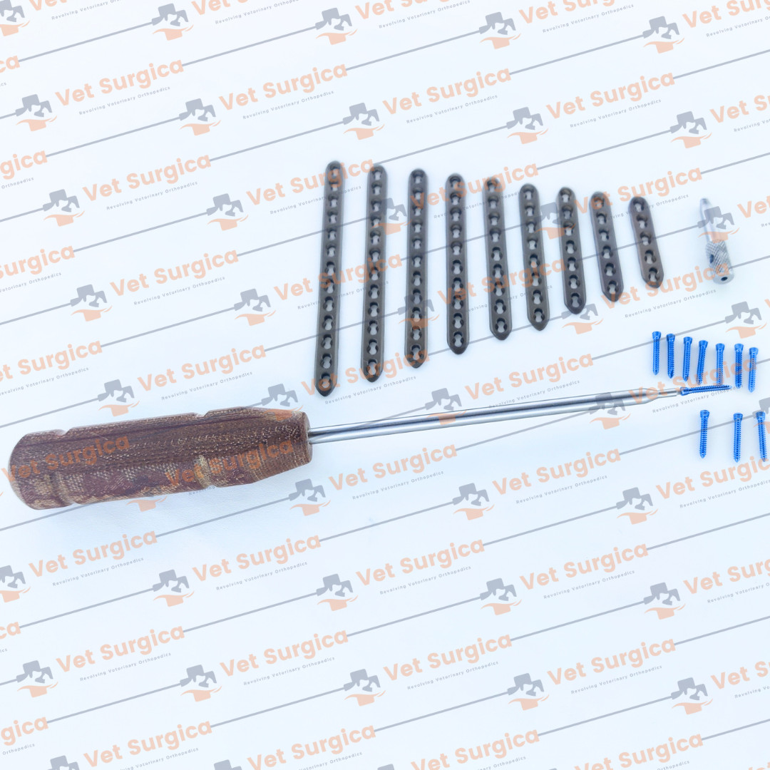 2.4mm Safety Locking Small Straight Plates 5H to 13 Holes & Screws 71 Pcs Set Ti