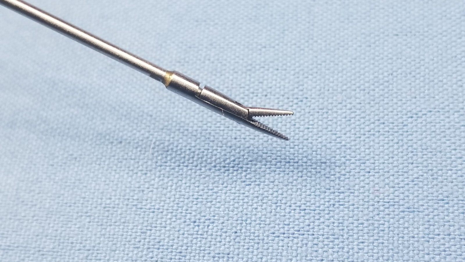 German Stainless Steel House Alligator Ear Forceps 375223