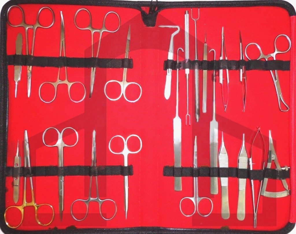 Blepharo Plasty Plastic Surgery Surgical Instruments 24 Pcs